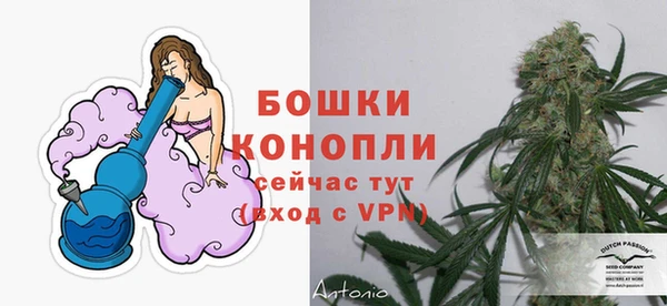 ALPHA PVP Дмитриев