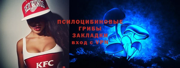 ГАЛЛЮЦИНОГЕННЫЕ ГРИБЫ Дмитровск