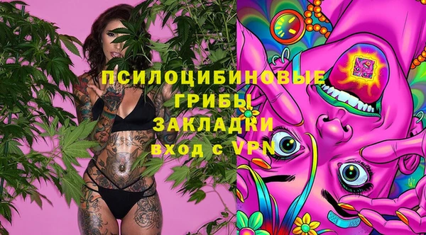 ГАЛЛЮЦИНОГЕННЫЕ ГРИБЫ Дмитровск