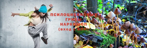 mix Дмитров