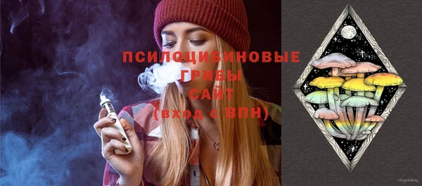 ГАЛЛЮЦИНОГЕННЫЕ ГРИБЫ Дмитровск