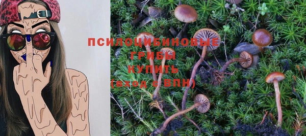 ГАЛЛЮЦИНОГЕННЫЕ ГРИБЫ Дмитровск